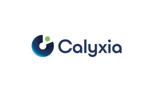 Logo Site Calyxia